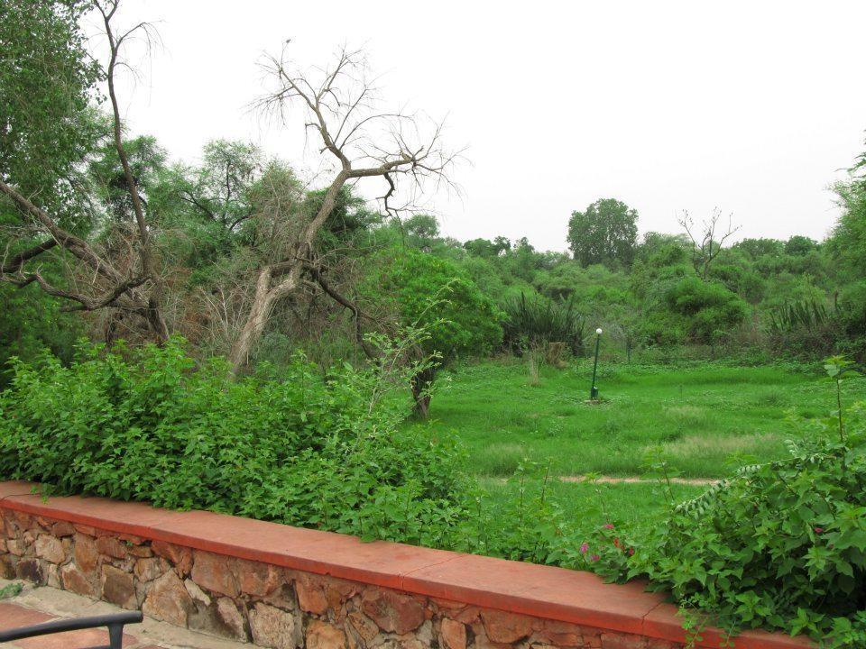 Hotel Bharatpur Ashok Екстериор снимка